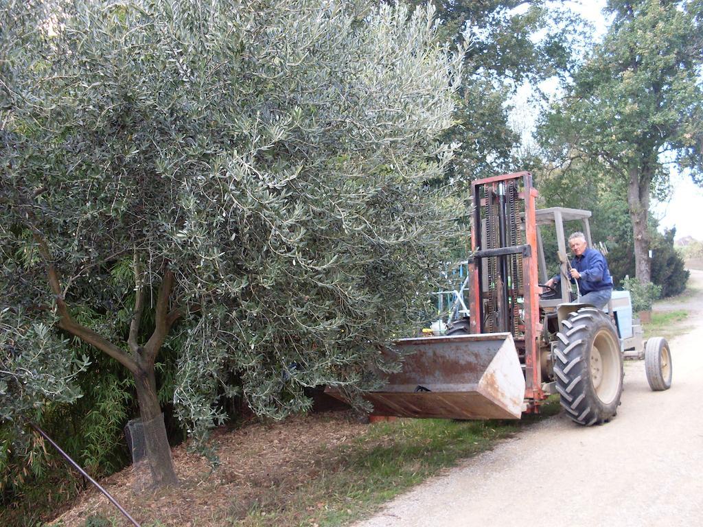 Agriturismo La Marletta Imola Zewnętrze zdjęcie